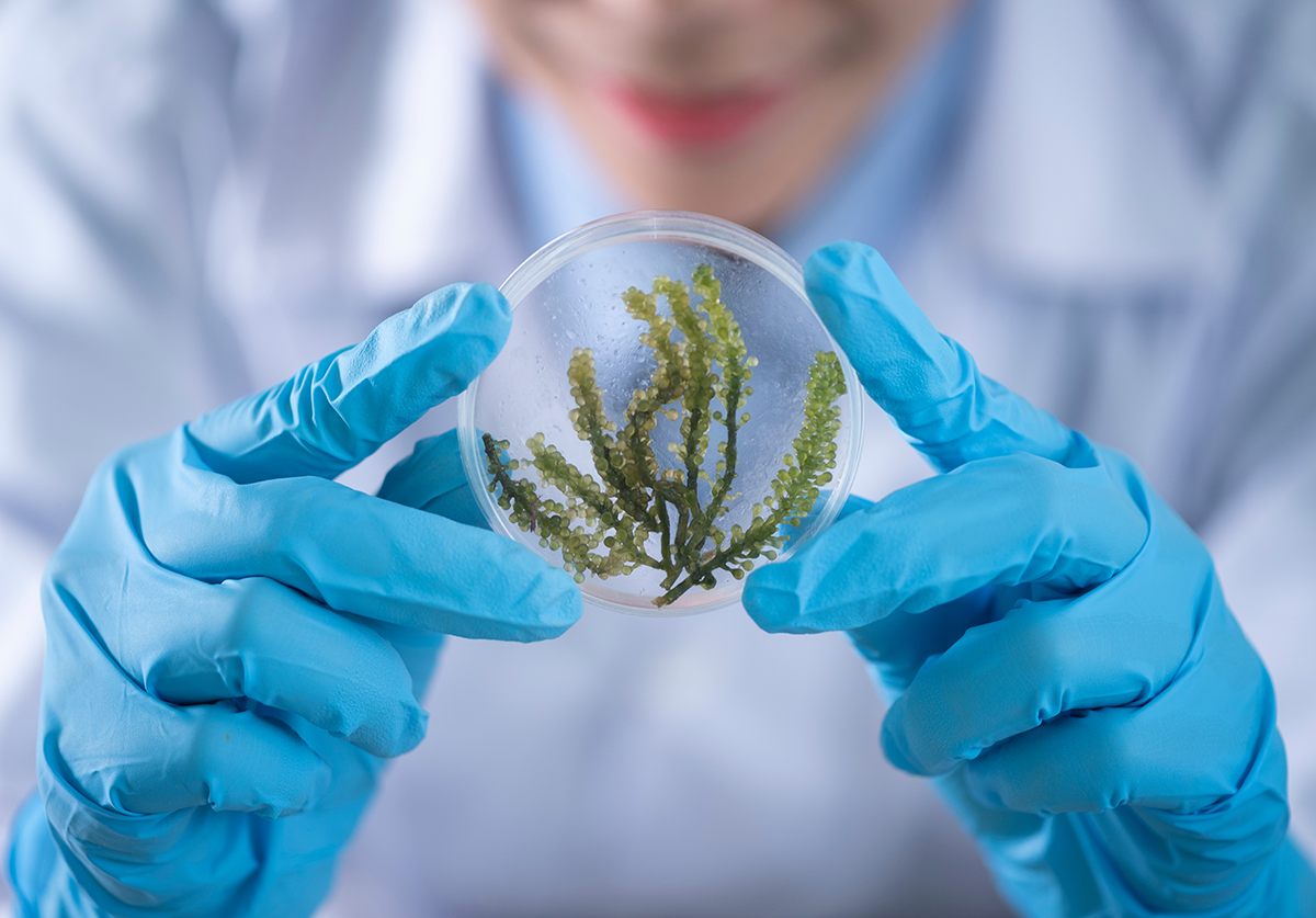 What can I do with degree in Biology?
